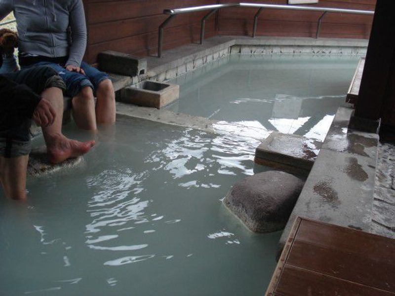 Nikko Private Tour - Foot bathing