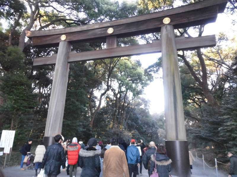 Tokyo Private Tour - Torii Gate of Meiji Jingu Shrine