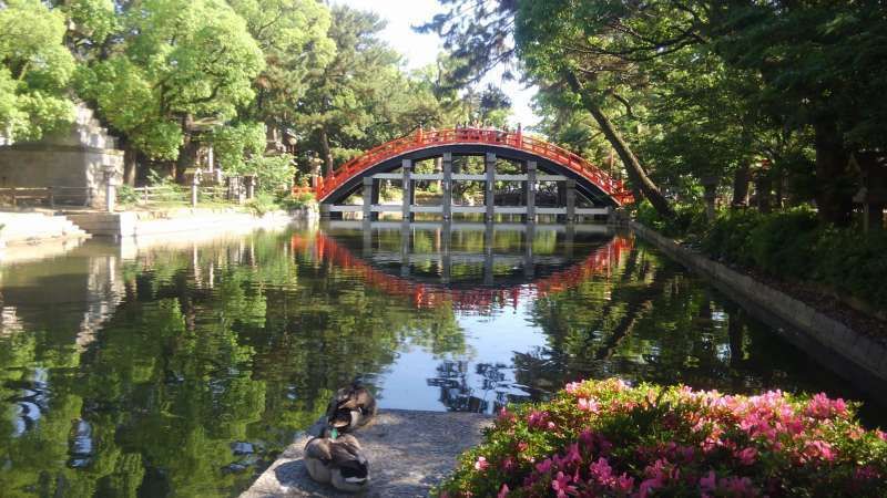 Osaka Private Tour - Sumiyoshi Taisha shrine
