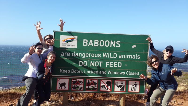 Western Cape Private Tour - Baboon warning