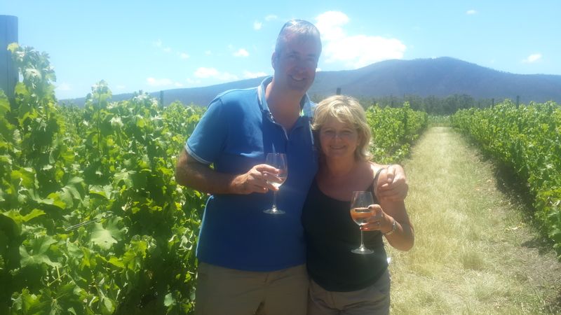 Western Cape Private Tour - Wine-tasting in the vineyards