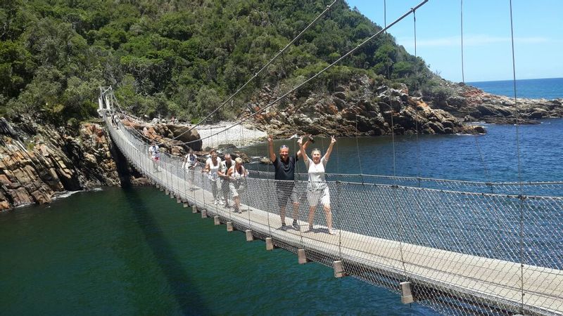 Western Cape Private Tour - Taking a walk over the suspension bridge