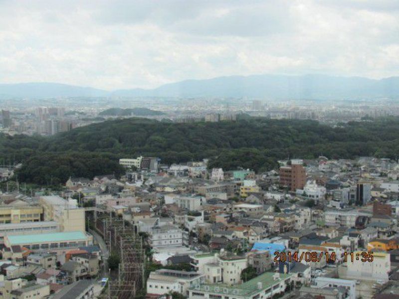 Osaka Private Tour - The mausoleum of Emperor Nintoku
( from the observation deck )