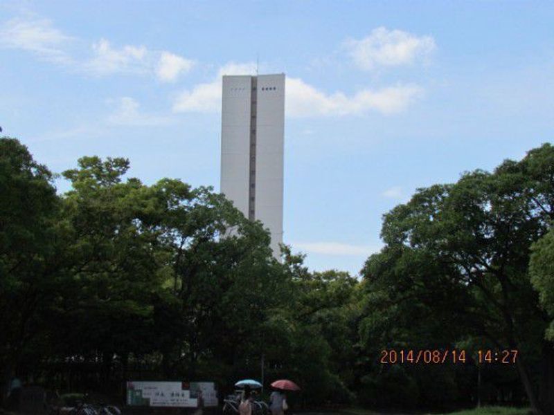 Osaka Private Tour - Peace Tower in Daisen Park