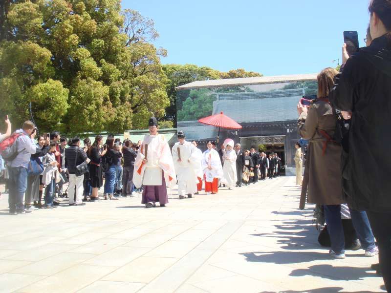 Tokyo Private Tour - If it is a lucky day, you can see the beautiful shinto style procession taking place in front of the main hall. 