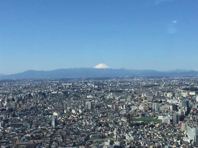 Tokyo Private Tour - You can enjoy panoramic views of whole Tokyo from Metropolitan Government Building.
Weather permitting, it is possible to see snow-capped Mt.Fuji.  