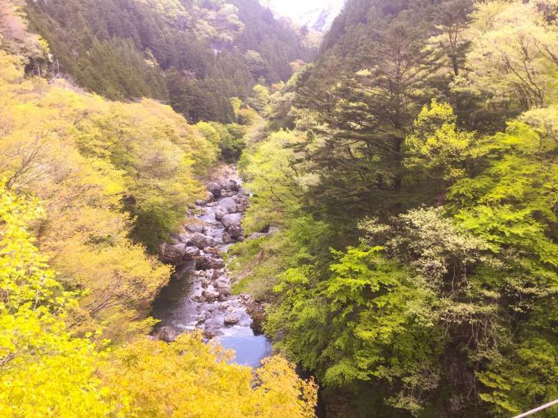 Tokyo Private Tour - Sogaku Ravine from a suspension bridge