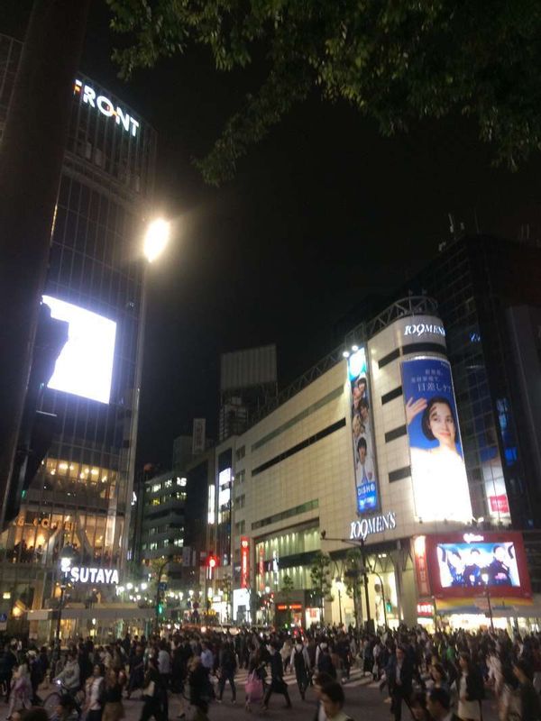 Tokyo Private Tour - Shibuya crossing