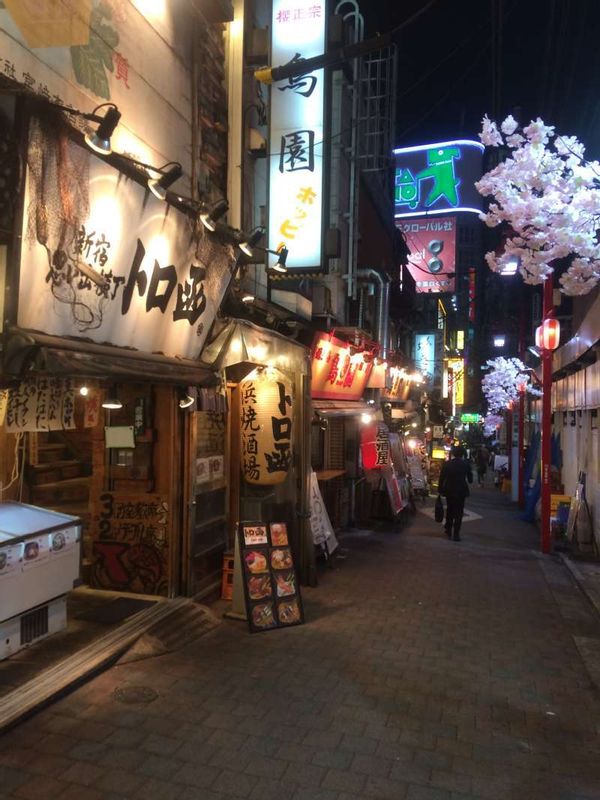 Tokyo Private Tour - traditional tavern