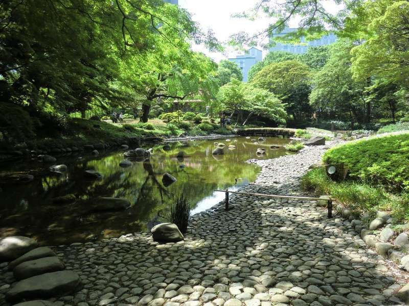 Tokyo Private Tour - Koishikawa Korakuen Garden