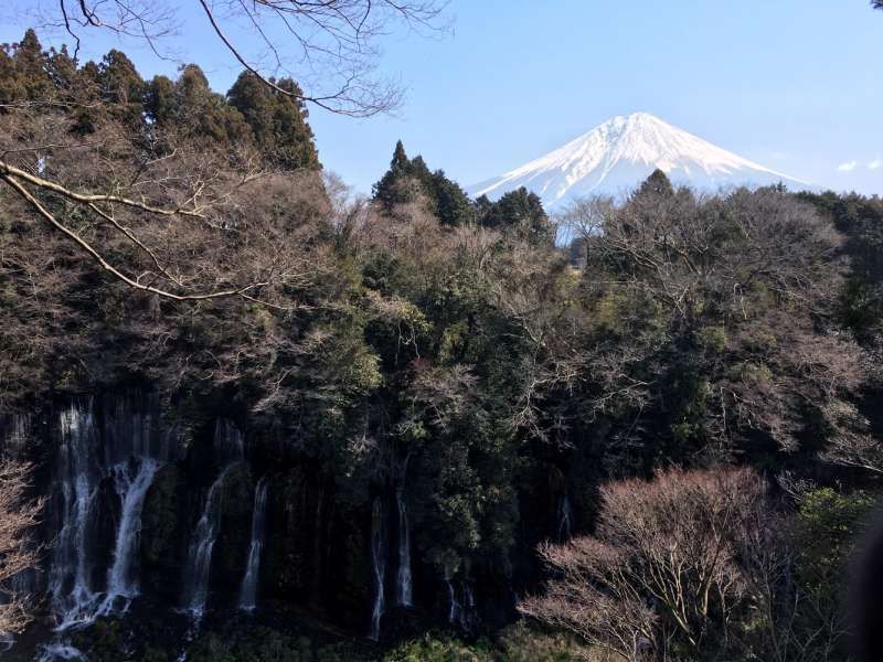 Shimizu Private Tour - optional: Shiraito waterfalls and view of Mt.Fuji