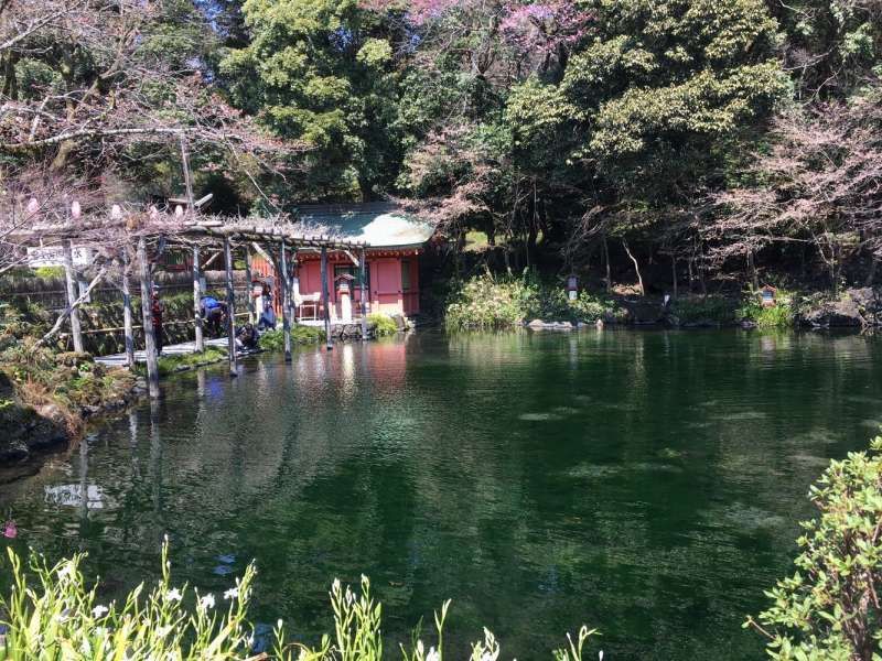 Shimizu Private Tour - Wakutama pond (clear springwater pond in Sengen shrine)