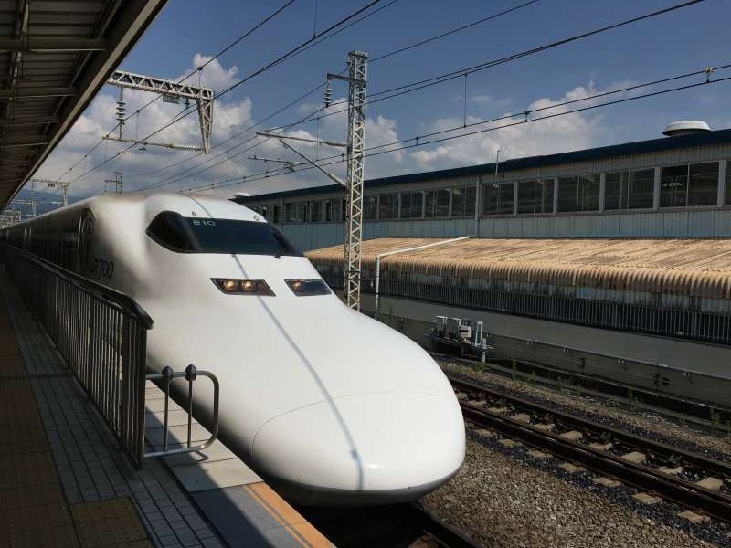 Shimizu Private Tour - optional: Shinkansen ride experience (from shin-fuji station to shizuoka station)