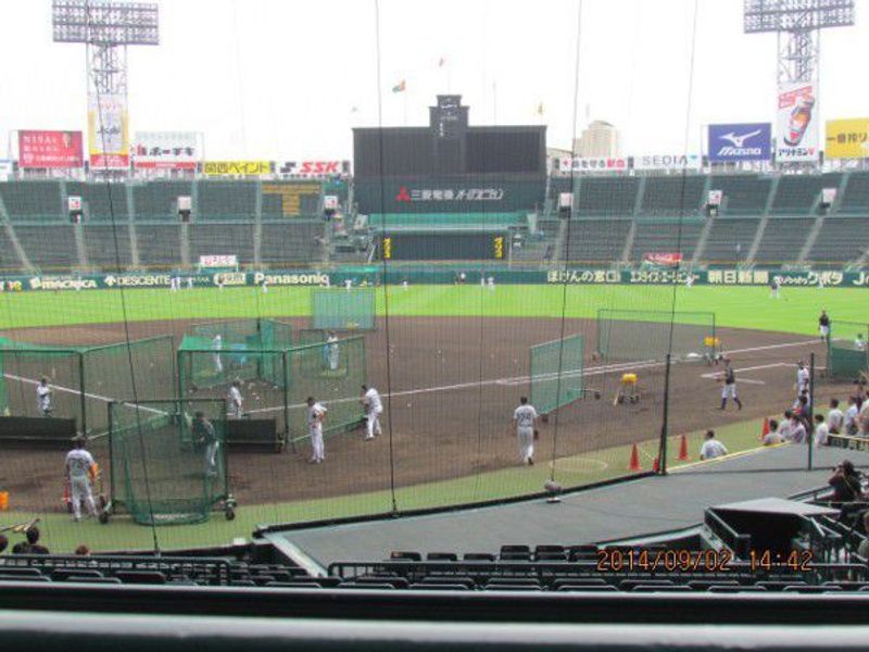 Osaka Private Tour - Players of Hanshin Tigers practice on the ground.