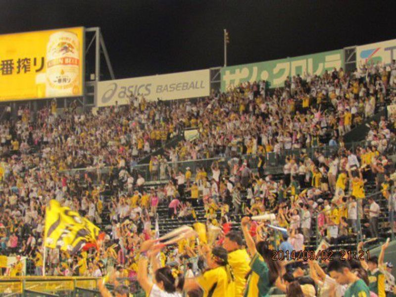 Honeymoon in Japan: A Home Run Experience at the Hanshin Tigers Baseball  Game – Globe Gazers