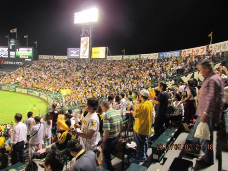 Honeymoon in Japan: A Home Run Experience at the Hanshin Tigers Baseball  Game – Globe Gazers