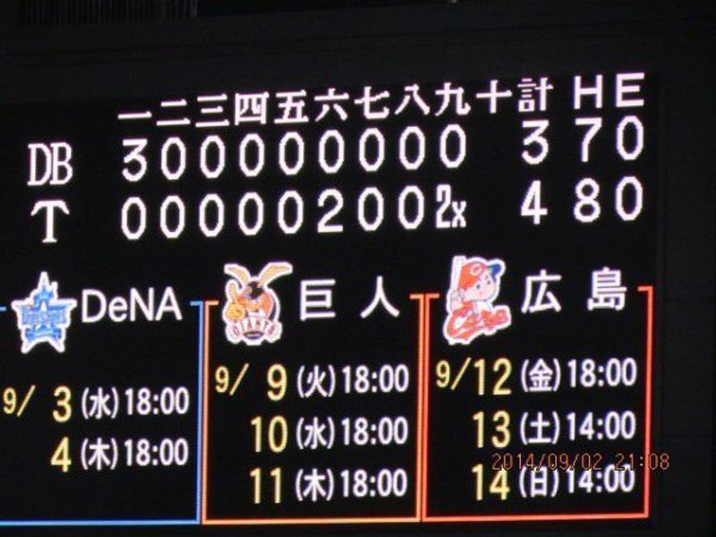 Osaka Private Tour - Hanshin Tigers won the game.