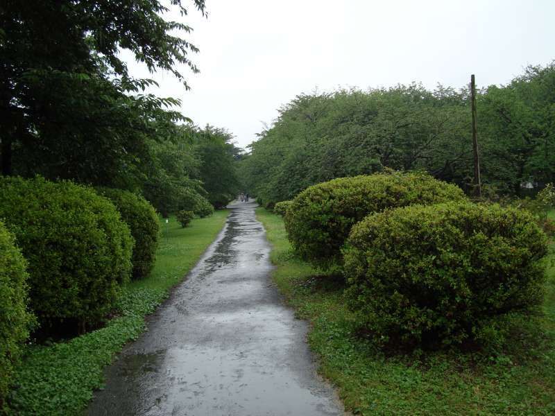 Tokyo Private Tour - Koishikawa Botanical Garden in rainy season