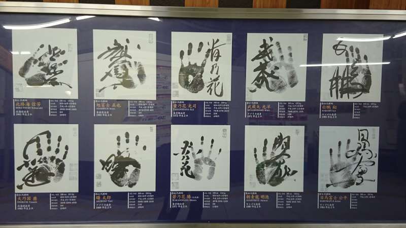 Tokyo Private Tour - Hand prints of Yokozuna