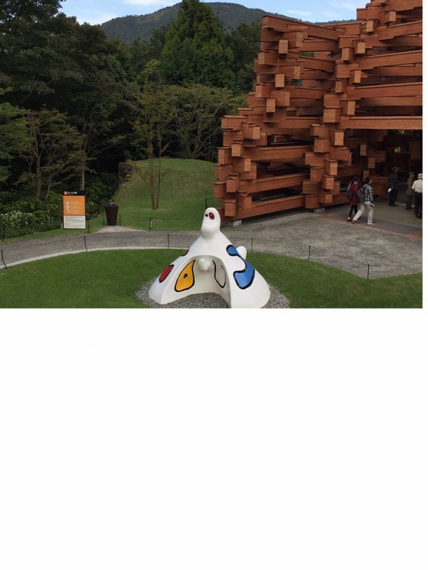 Hakone Private Tour - Wooden structure in Open Air Museum