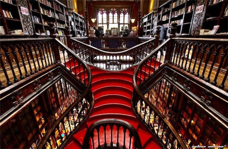 Porto Private Tour - Lello Bookstore