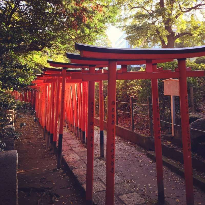 Tokyo Private Tour - Inari Shrine  