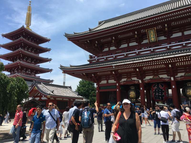 Tokyo Private Tour - Asakusa Hozomon Gate and five stories pagoda