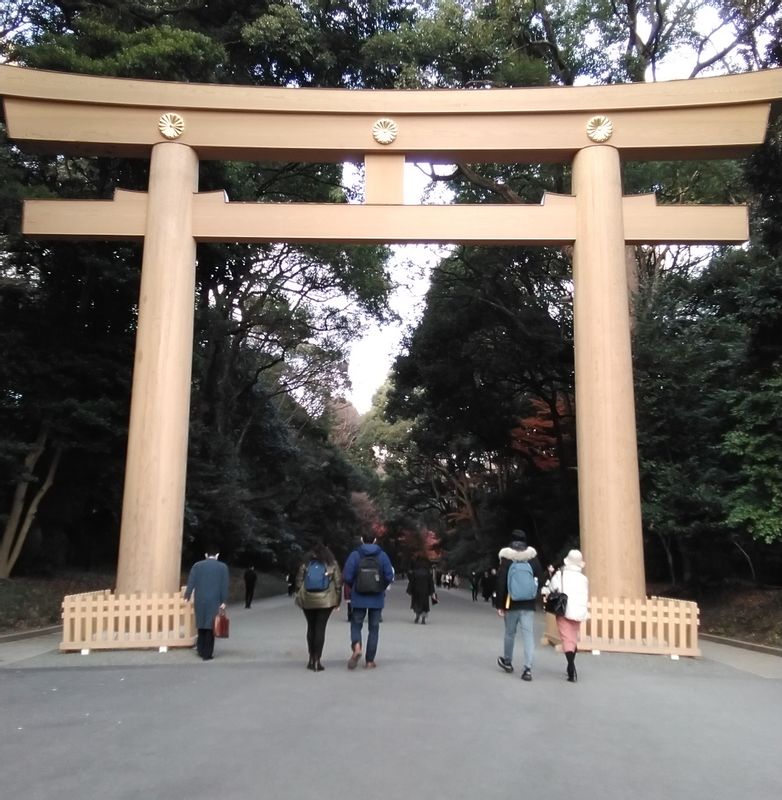 Tokyo Private Tour - Meiji-jingu Shrine