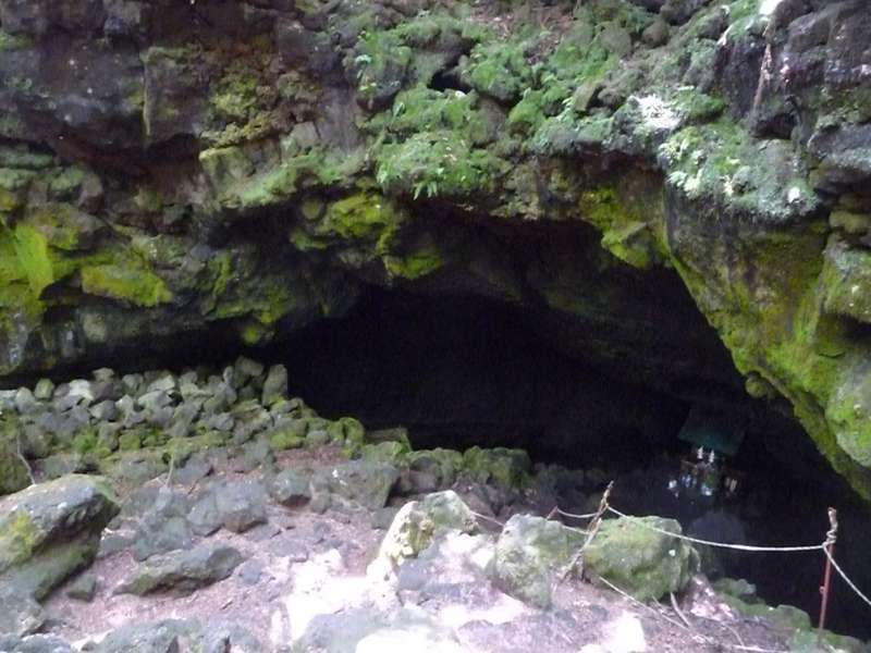 Mount Fuji Private Tour - In the Sea of Trees (Aokigahara Jukai), you find many caves which may be connected to each other. 