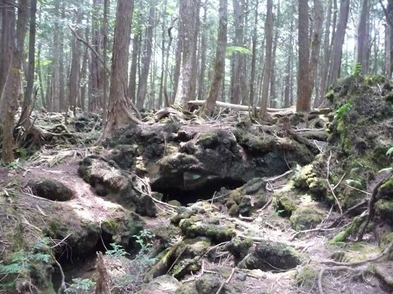 Mount Fuji Private Tour - Here you see lava cave, moss,,,,.