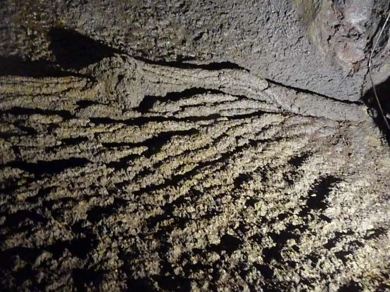 Mount Fuji Private Tour - Rope shaped lava you will see. The surface of lava getting cooled down while inside was still extremely hot lava was moving. The surface kind of pulled by still flowing lava, having created so called "Rope Lava." Like Sacred Rope you see at shrines. 