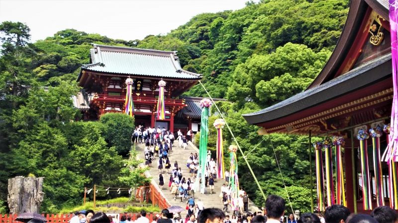 Kamakura Private Tour - Tsurugaoka Hachimangu shrine