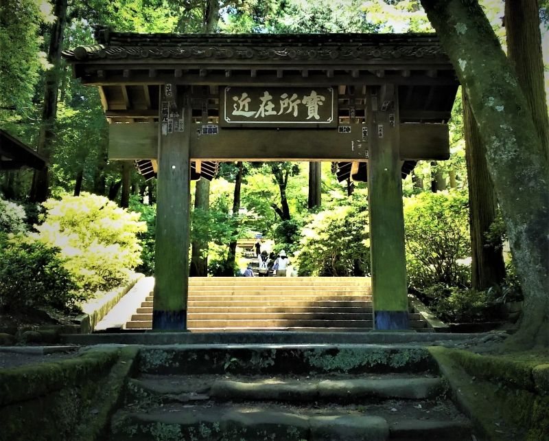 Kamakura Private Tour - null