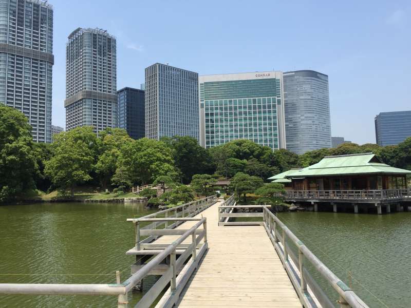 Tokyo Private Tour - Hamarikyu garden view