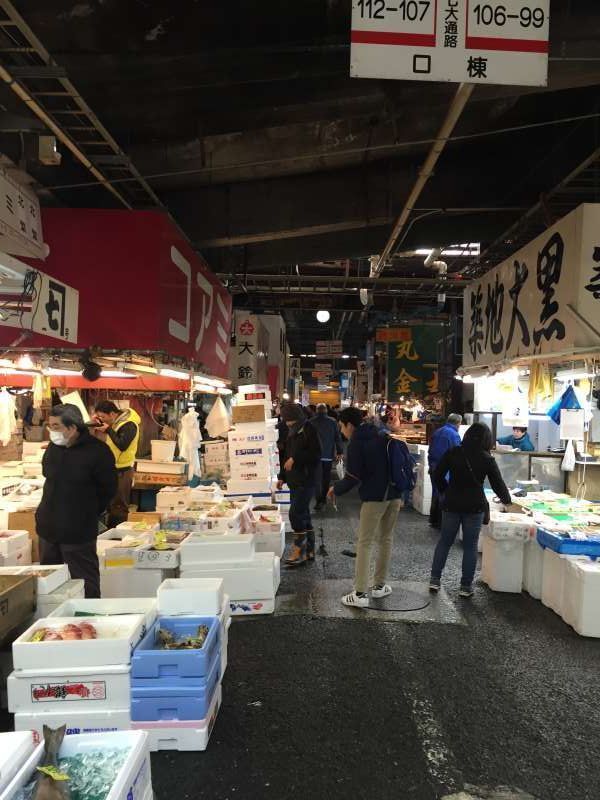 Tokyo Private Tour - In Tsukiji fish market for reseller