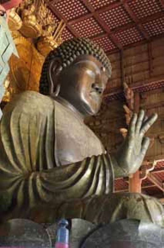 Nara Private Tour - Giant statue of buddha