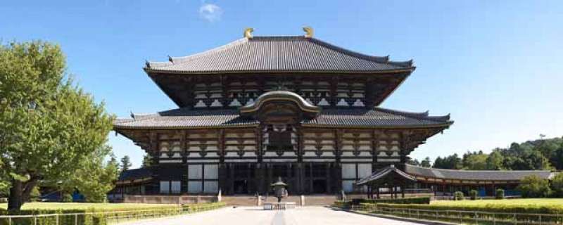 Nara Private Tour - Todaiji temple