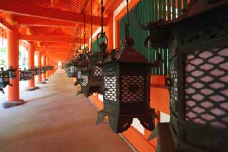 Nara Private Tour - Kasuga shrine