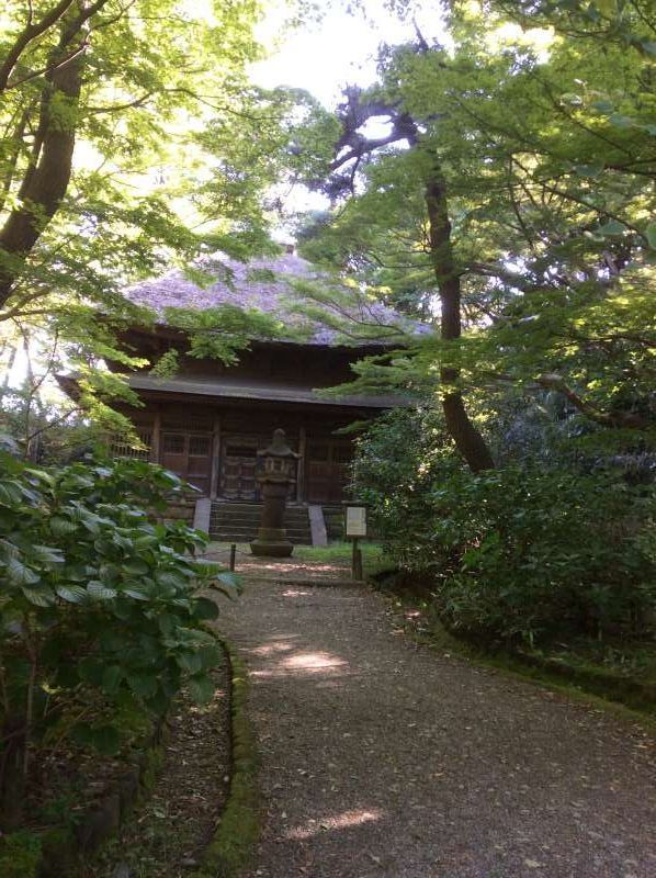 Yokohama Private Tour - Old Tokeiji Temple Sanctum, moved from the Tokeiji Temple in Kamakura.
Known as Enkiri-dera (divorce temple) or Kakekomi-dera (run-in-temple). 
This sanctum features the characteristics of Zen Buddhist architecture.