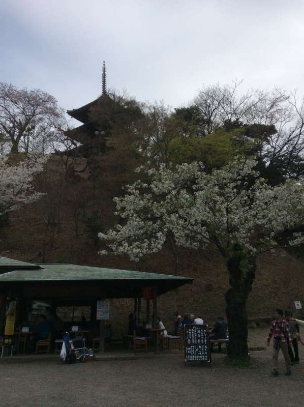 Yokohama Private Tour - Three Storied Pagoda of Old Tomyoji Temple in Kyoto.
This is the oldest pagoda in the Kanto region and 24 meters (80 feet) in height.