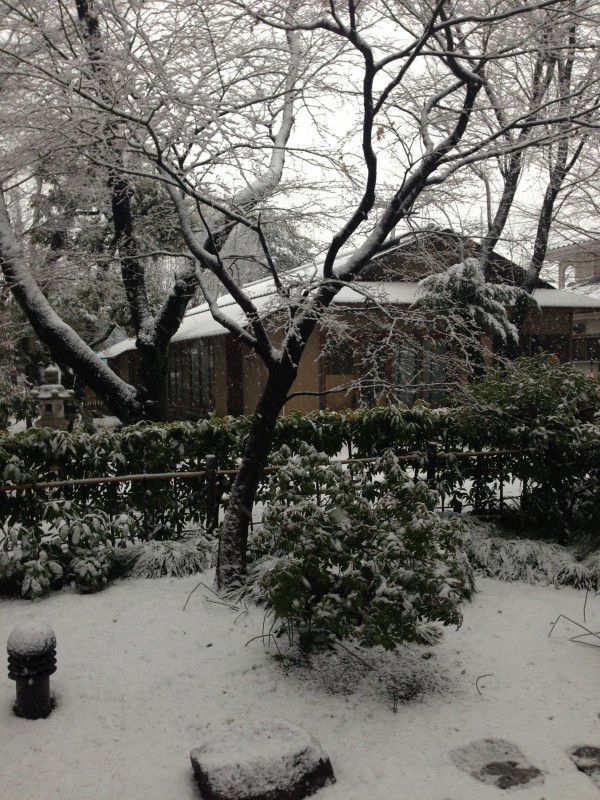 Tokyo Private Tour - An example of traditional tea house. Beautiful when it snows. We sometimes have snow in February and also in March.