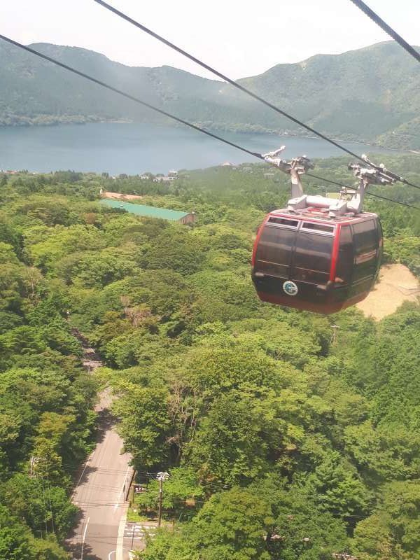 Hakone Private Tour - Panoramic view of Lake Ashi from a ropeway