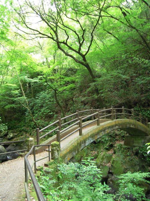 Fukuoka Private Tour - Taiko bridge.  This is one of the spiritual spots in Takachiho.