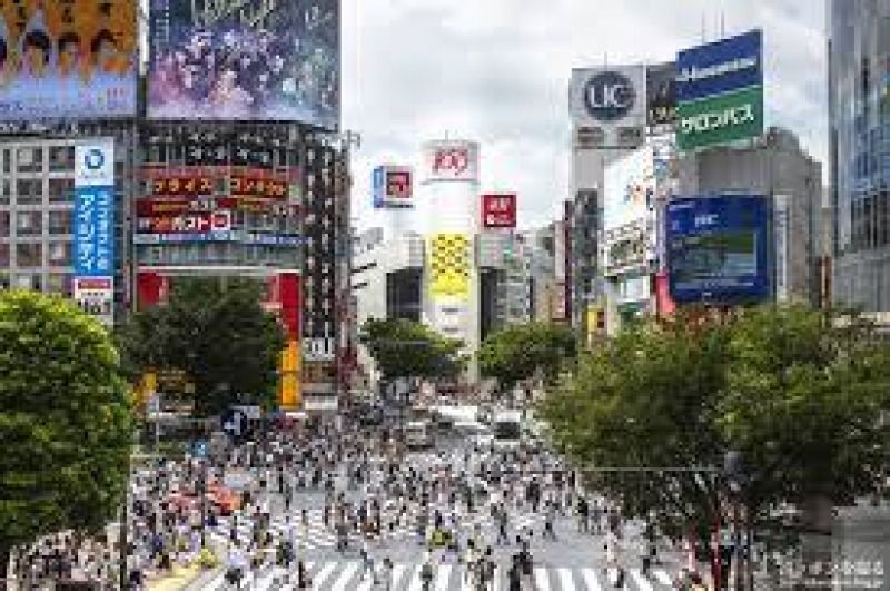 Tokyo Private Tour - Shibuya crossing - Busiest and the most famous intersection, which is the film shooting stop of "Lost in Translation" 