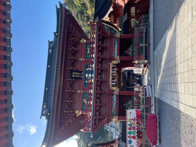 Shimizu Private Tour - Tower Gate at Sengen Jinja