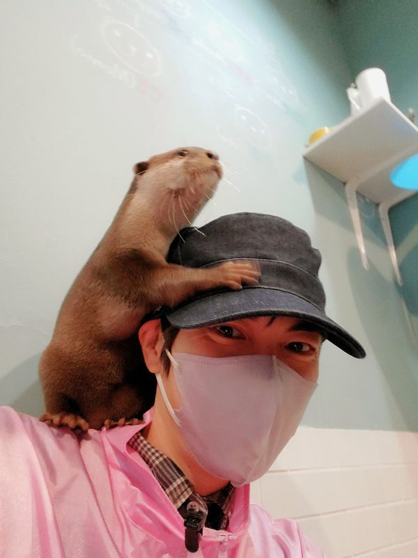 Tokyo Private Tour - At an Otter Cafe