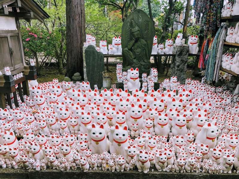 Tokyo Private Tour - Cat Statues In Gotokuji Temple, Tokyo