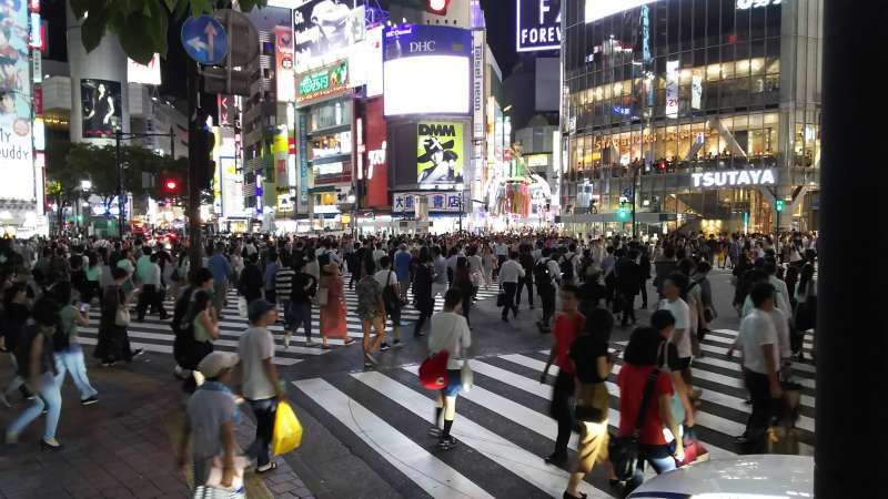 Tokyo Private Tour - Shibuya : Most busiest intersection in the world.