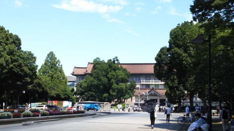 Tokyo Private Tour - Ueno Park and National museum.