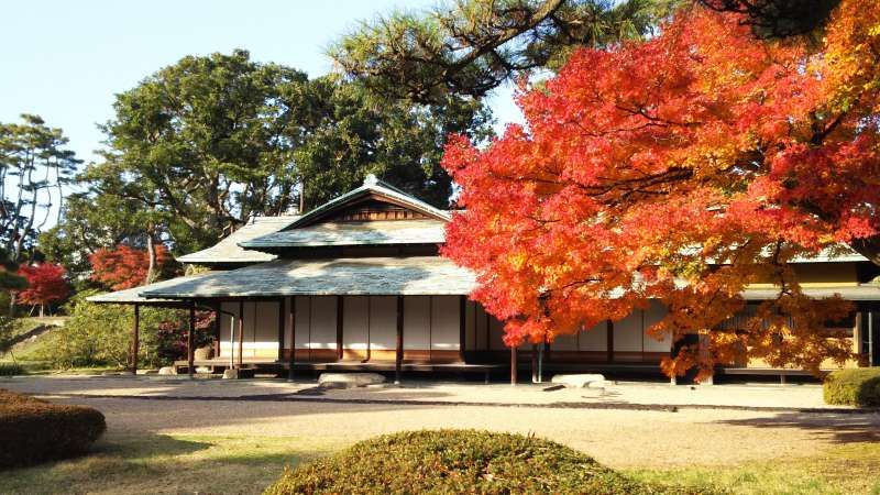 Tokyo Private Tour - Higasigyoen garden ( Imperial garden.)
